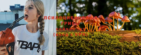 Альфа ПВП Каменск-Шахтинский